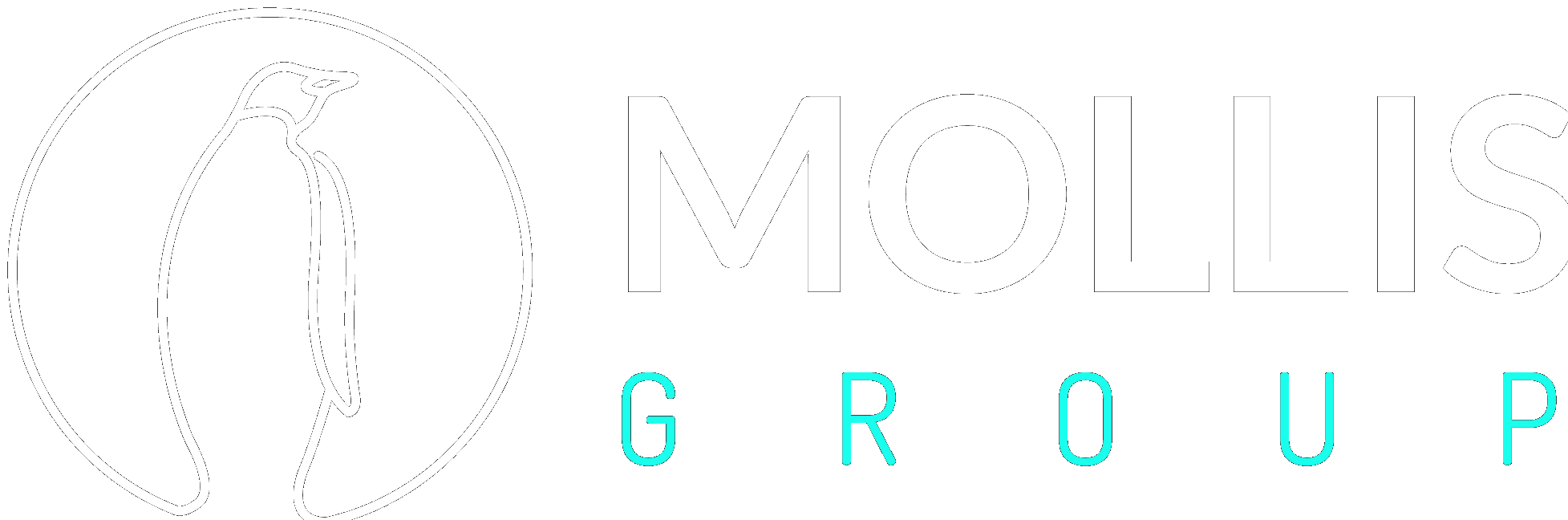 Mollis Group